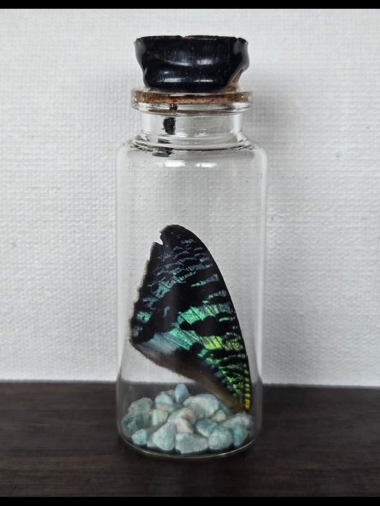 Handmade Other - Butterfly Wing In Jar